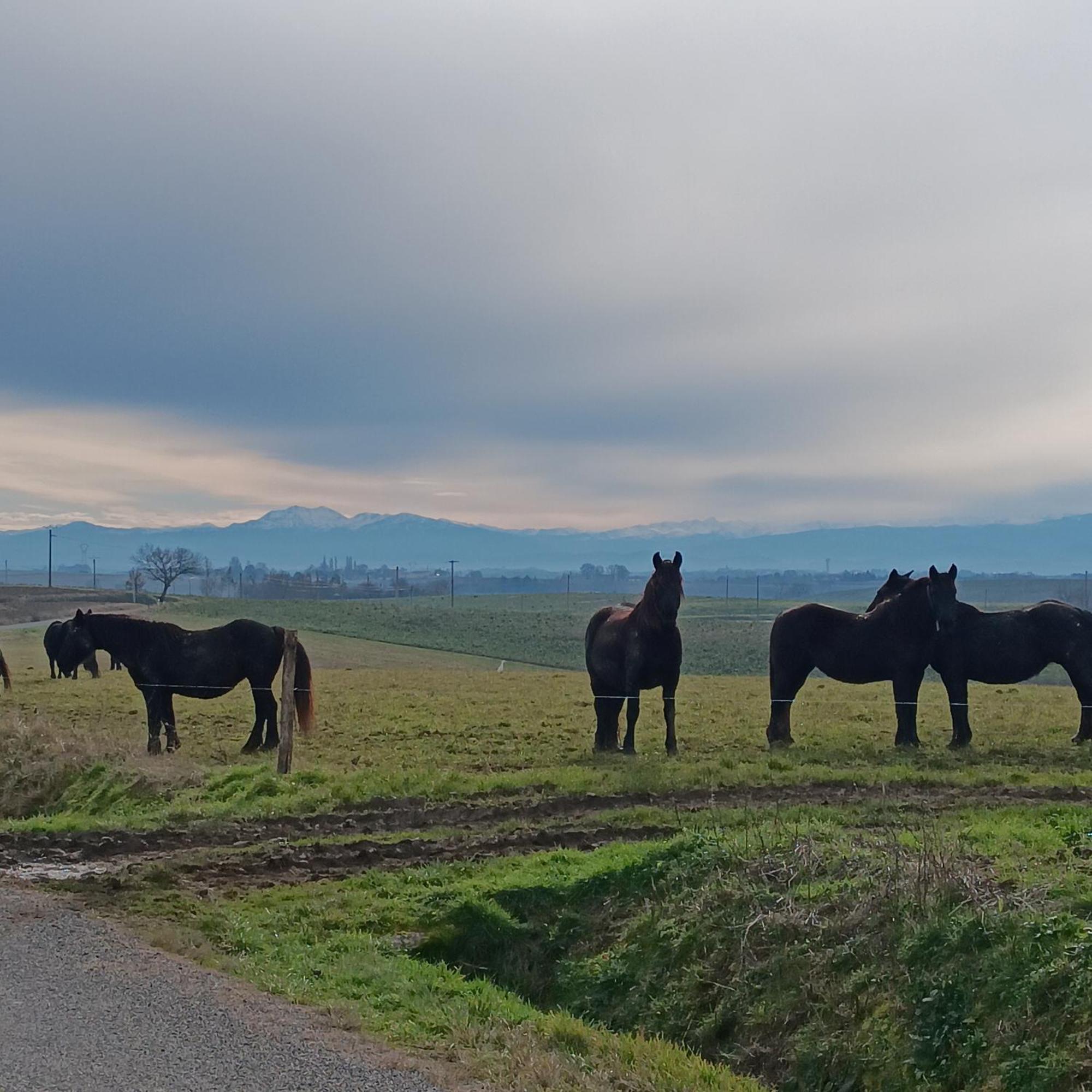 Le Gite De Cousal Esperce Buitenkant foto